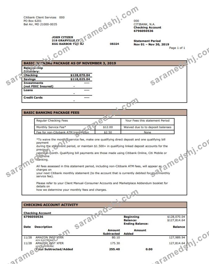 USA City Bank statement template in Word and PDF format